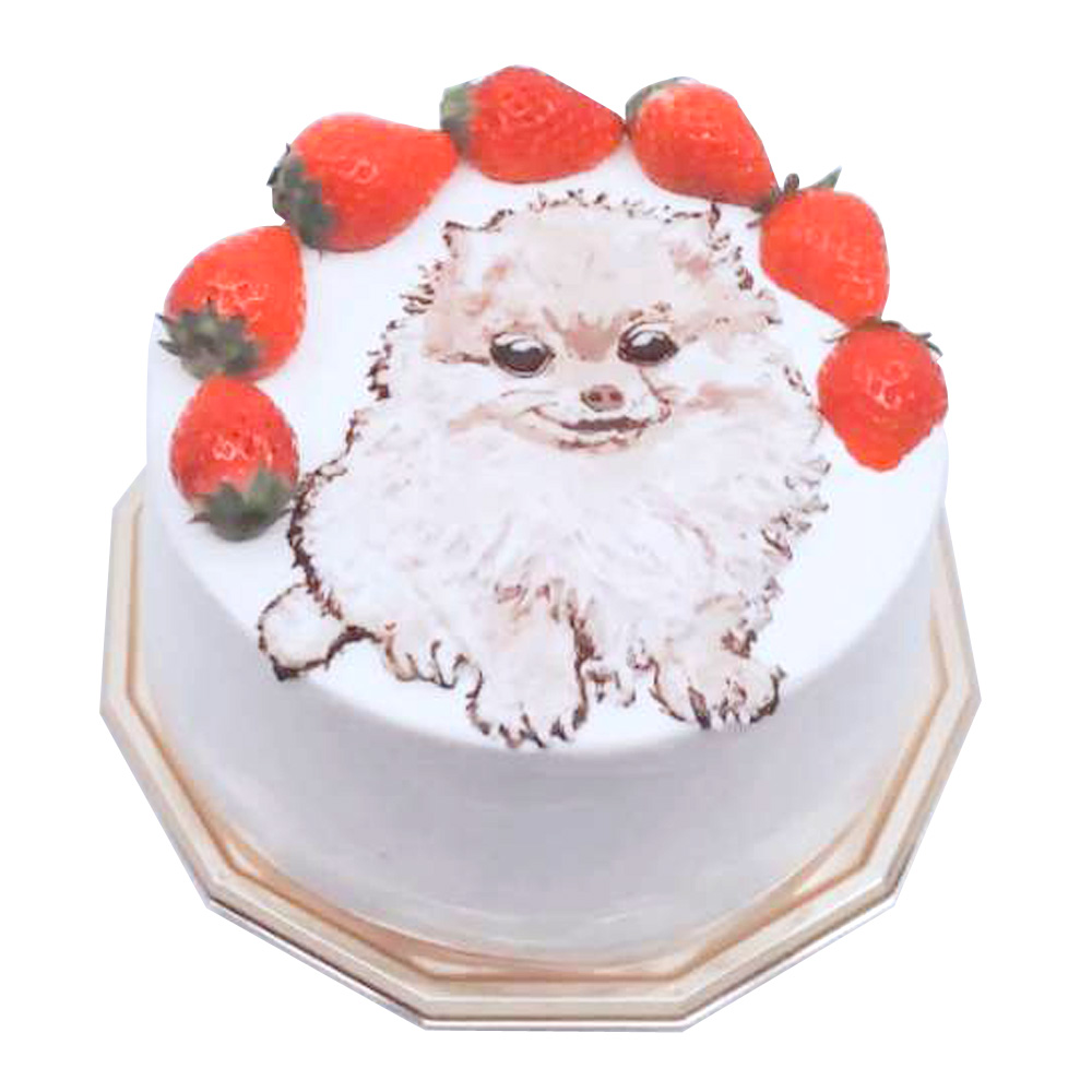 イラストのみのケーキ